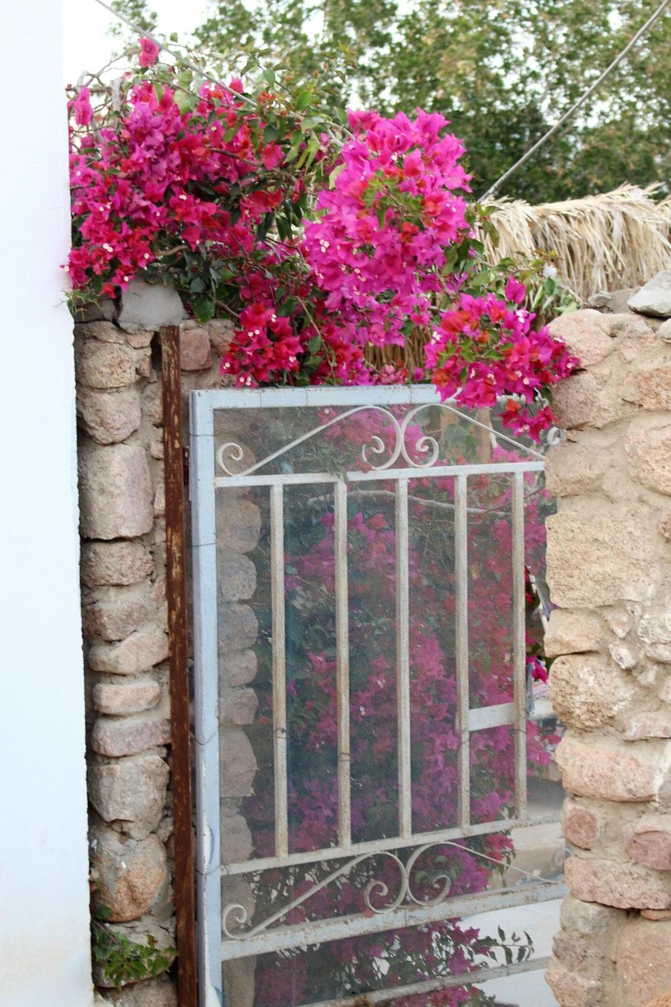 Sinai Old Spices B&B Sharm el-Sheikh Værelse billede