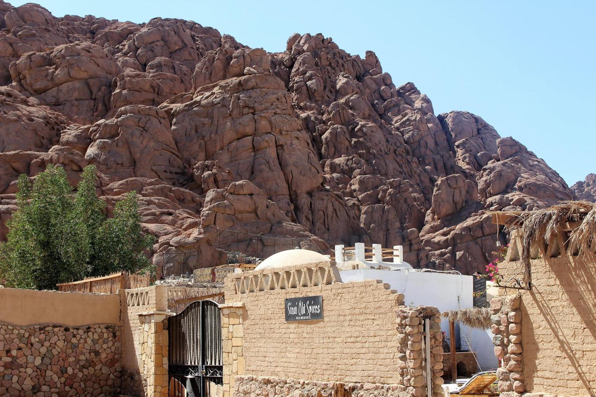 Sinai Old Spices B&B Sharm el-Sheikh Værelse billede